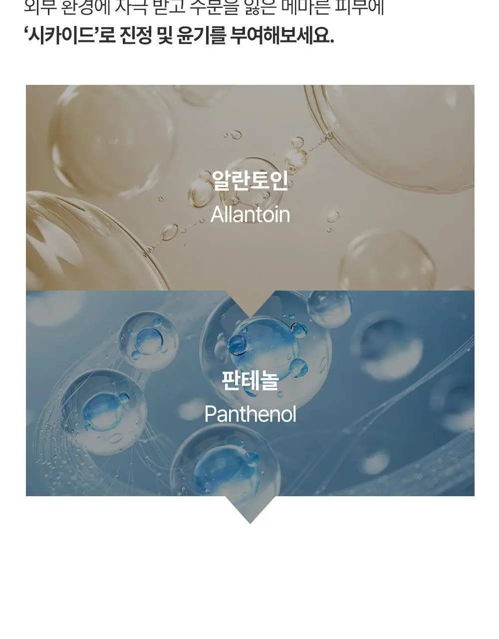 [피부장벽강화크림] 더하르나이 시카이드 밤 100ml기획(+앰플5ml*3p+크림5ml*2p) 상세페이지 28